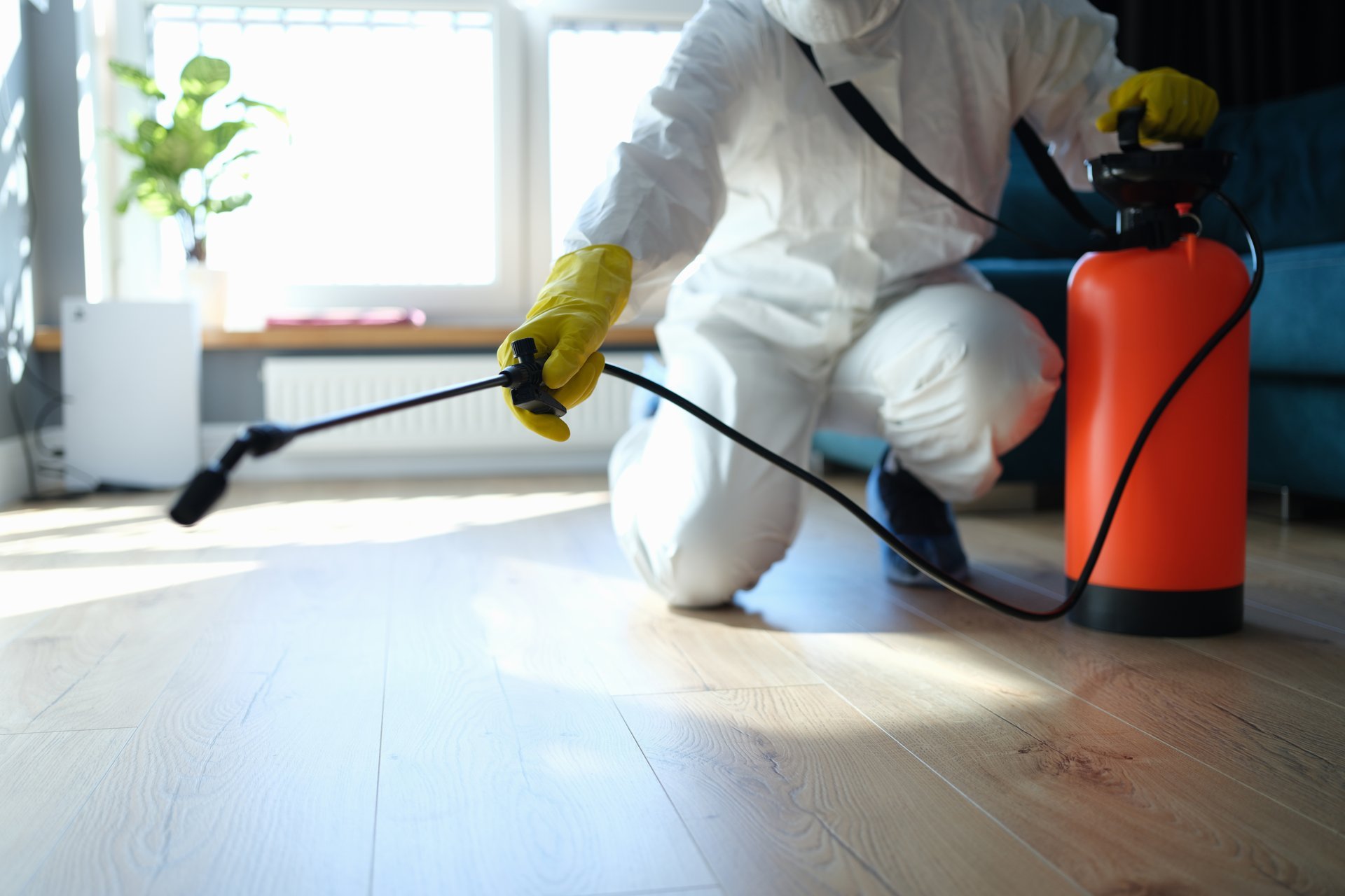 Contact Killzone Pest Control