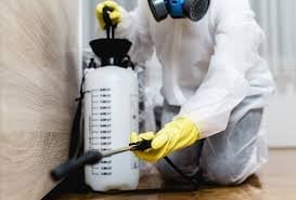 Person in white protective suit and yellow gloves holding spray bottle and cleaning supplies against white wall